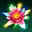 ǧɫ